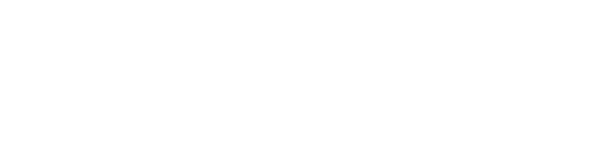 Bradford White — official brand logo